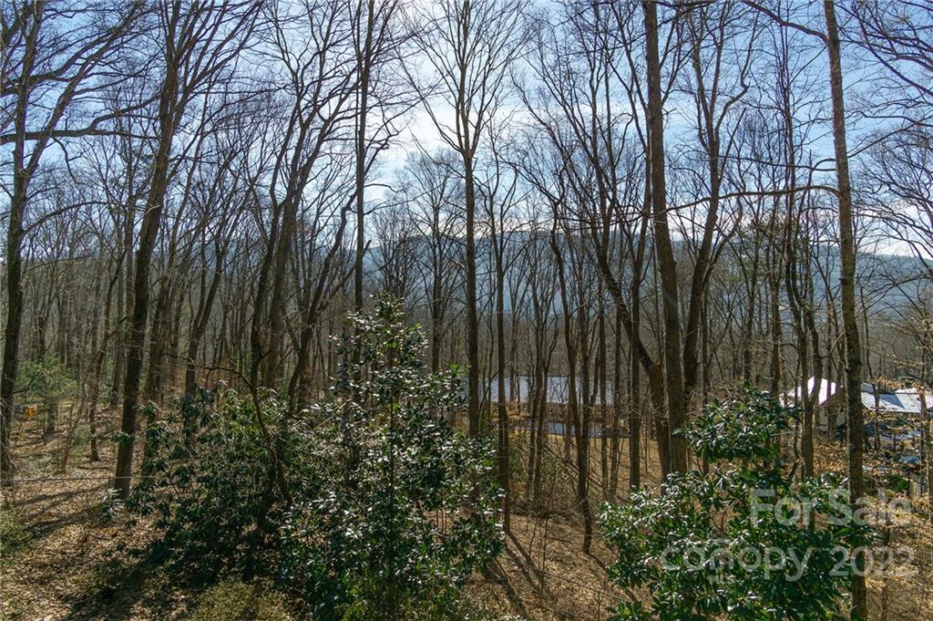 23 Alpine Way Swannanoa NC 28778
