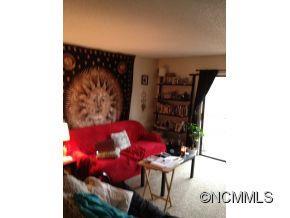 3 Hy Vu Drive Asheville NC 28804
