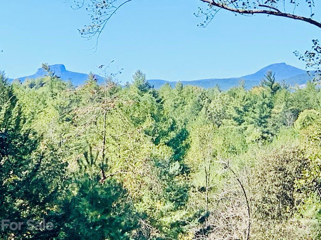 1488 High Valley Way Lenoir NC 28645