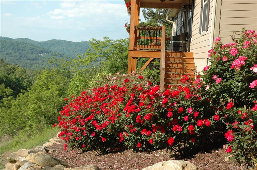 42 Hawtree Court Weaverville NC 28787
