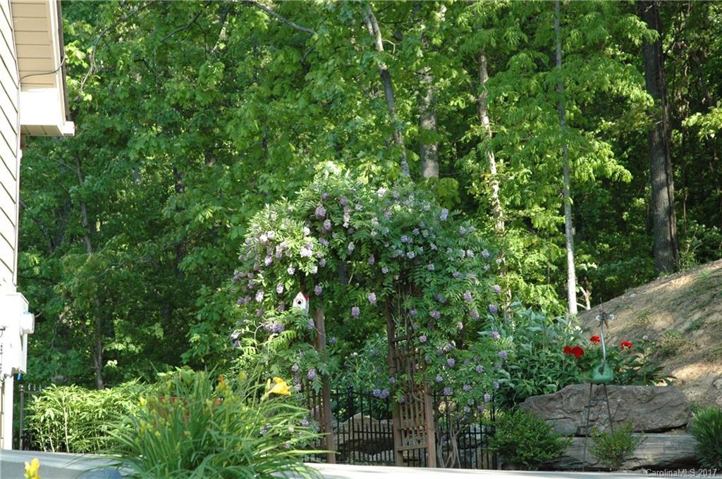 42 Hawtree Court Weaverville NC 28787