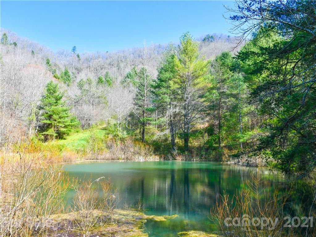 353 Sandy Mush Creek Road Leicester NC 28748