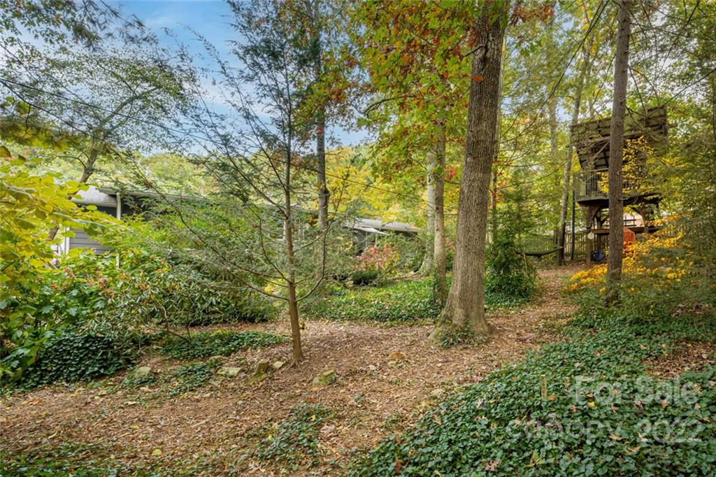 42 Rosewood Avenue Asheville NC 28801