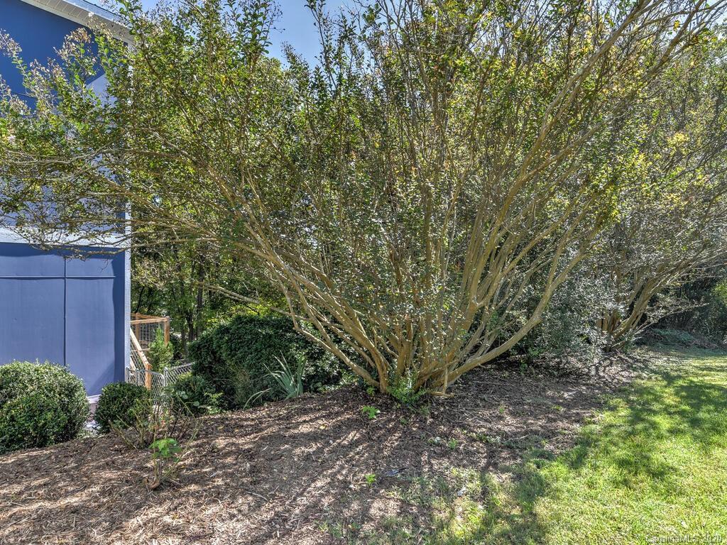 5 Asbury Place Candler NC 28715
