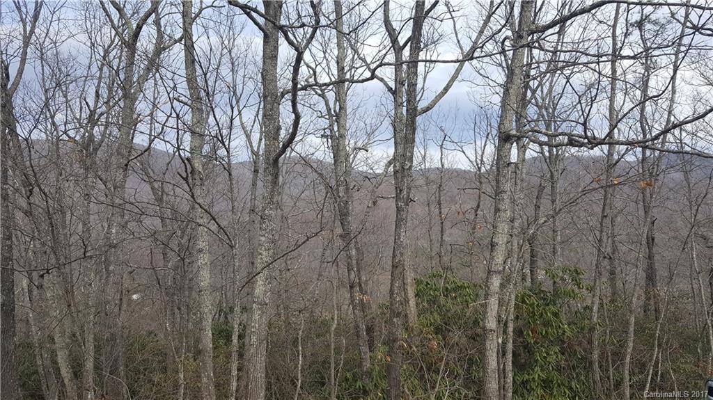 66 New Lite Road Fairview NC 28730