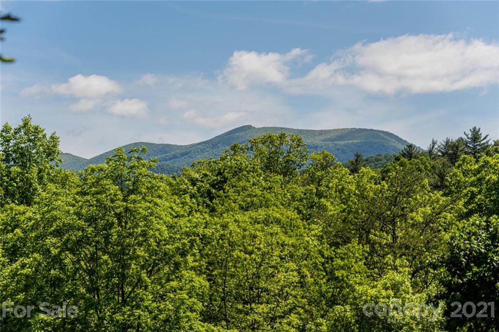 25 Wandering Oaks Way Asheville NC 28805