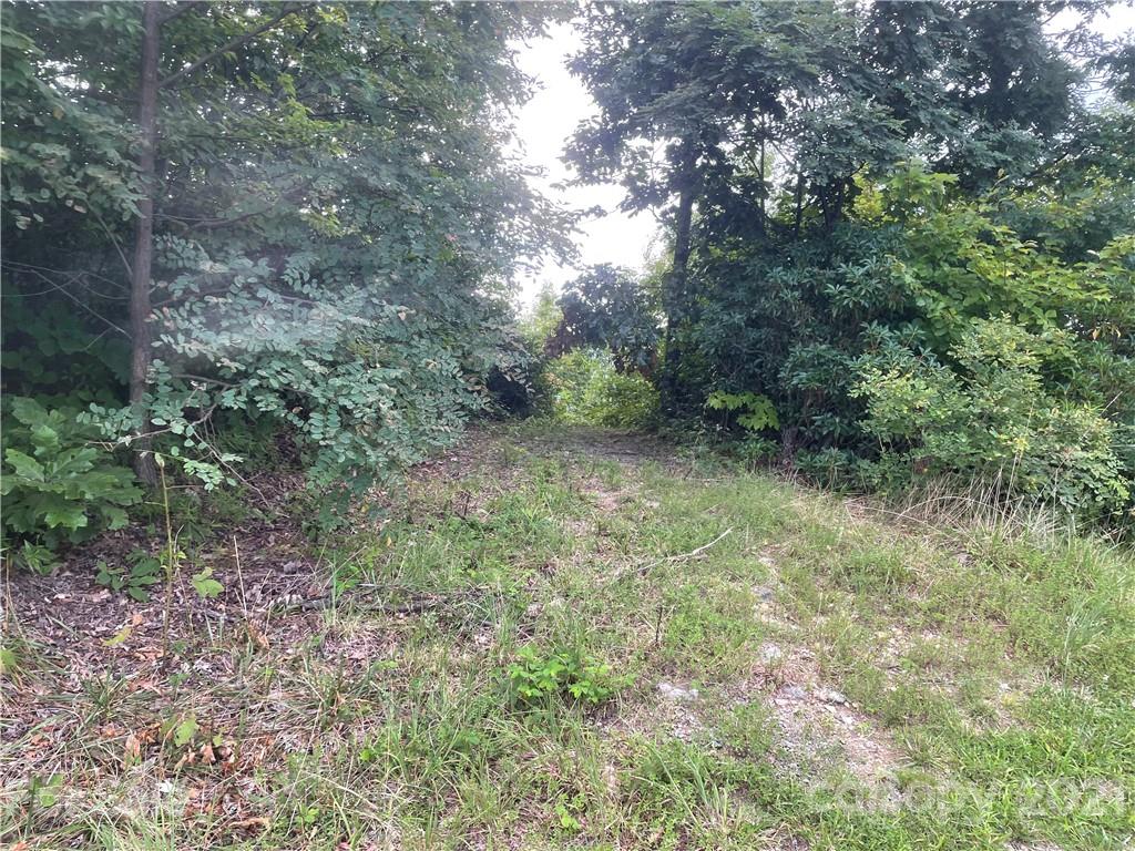 99999 Cliffledge Trail Black Mountain NC 28711