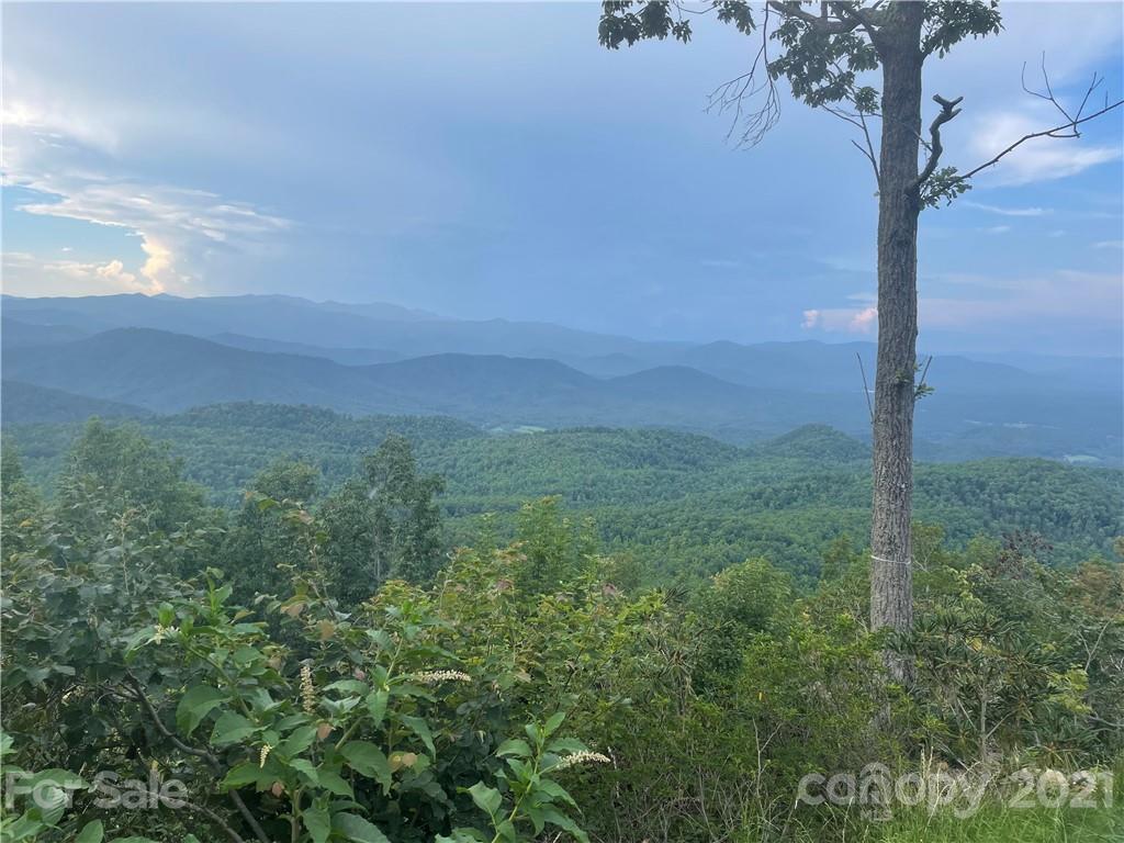 99999 Cliffledge Trail Black Mountain NC 28711