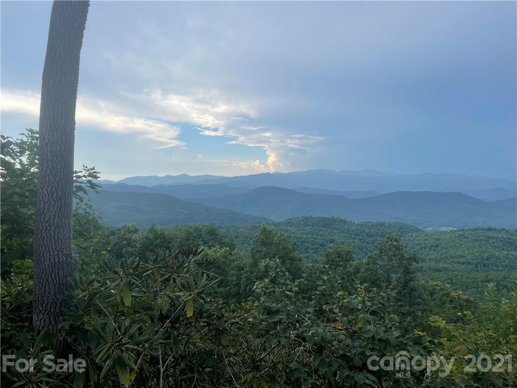 99999 Cliffledge Trail Black Mountain NC 28711