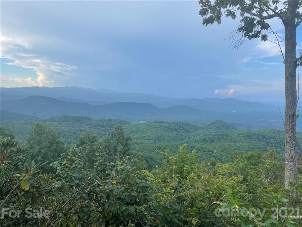 99999 Cliffledge Trail Black Mountain NC 28711