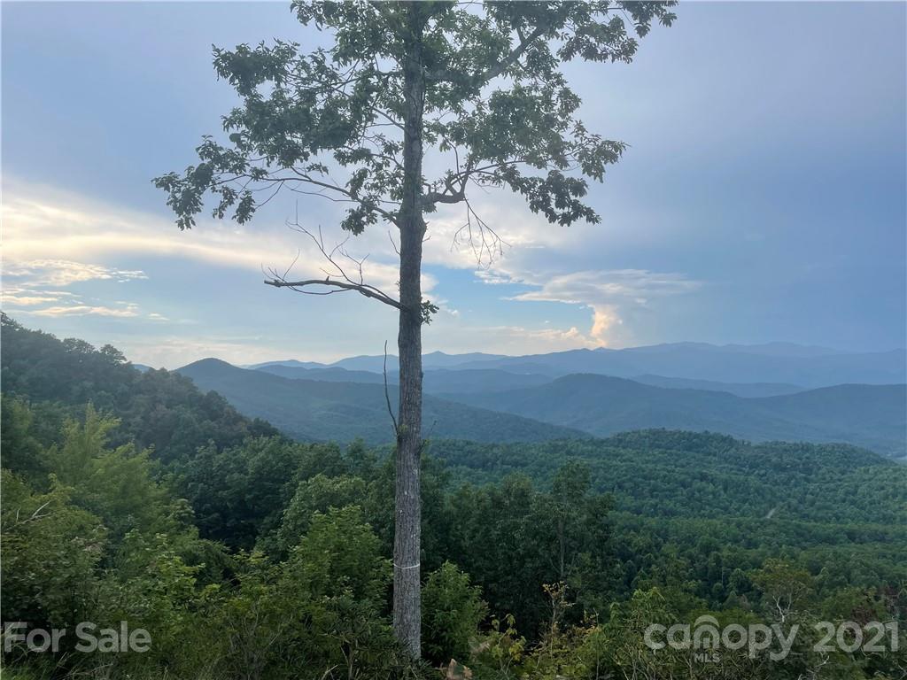 99999 Cliffledge Trail Black Mountain NC 28711