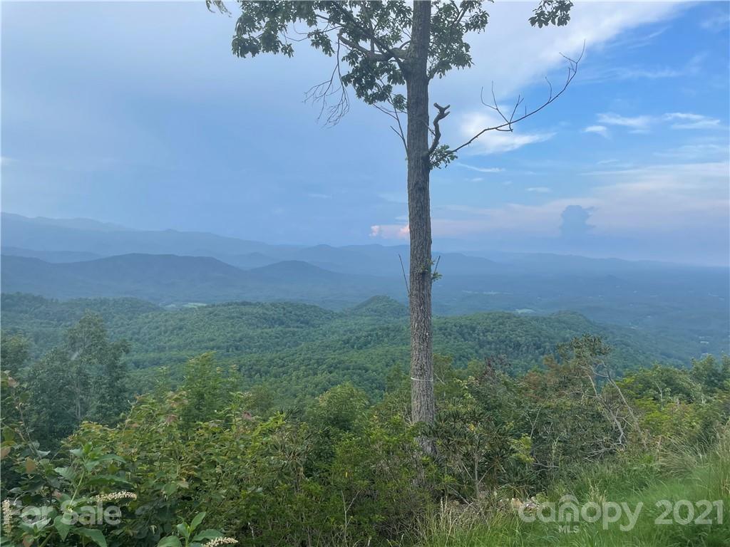 99999 Cliffledge Trail Black Mountain NC 28711