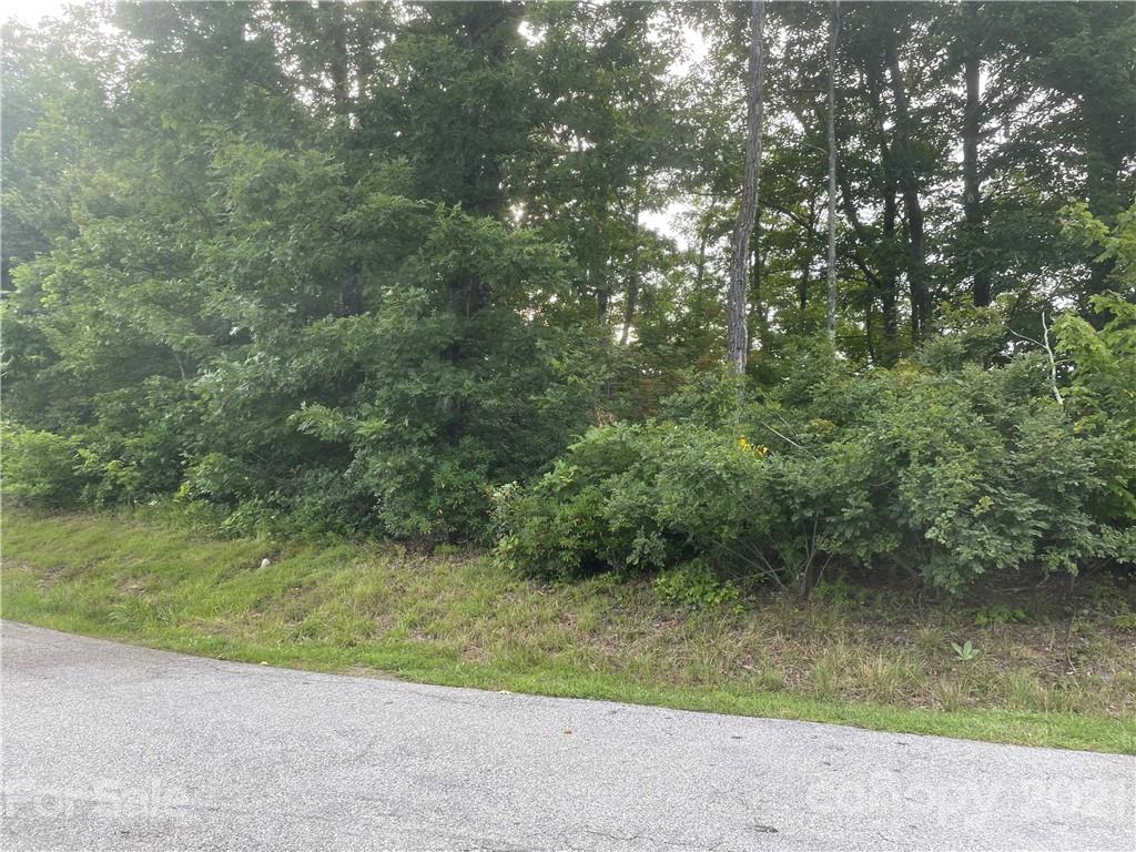 99999 Cliffledge Trail Black Mountain NC 28711