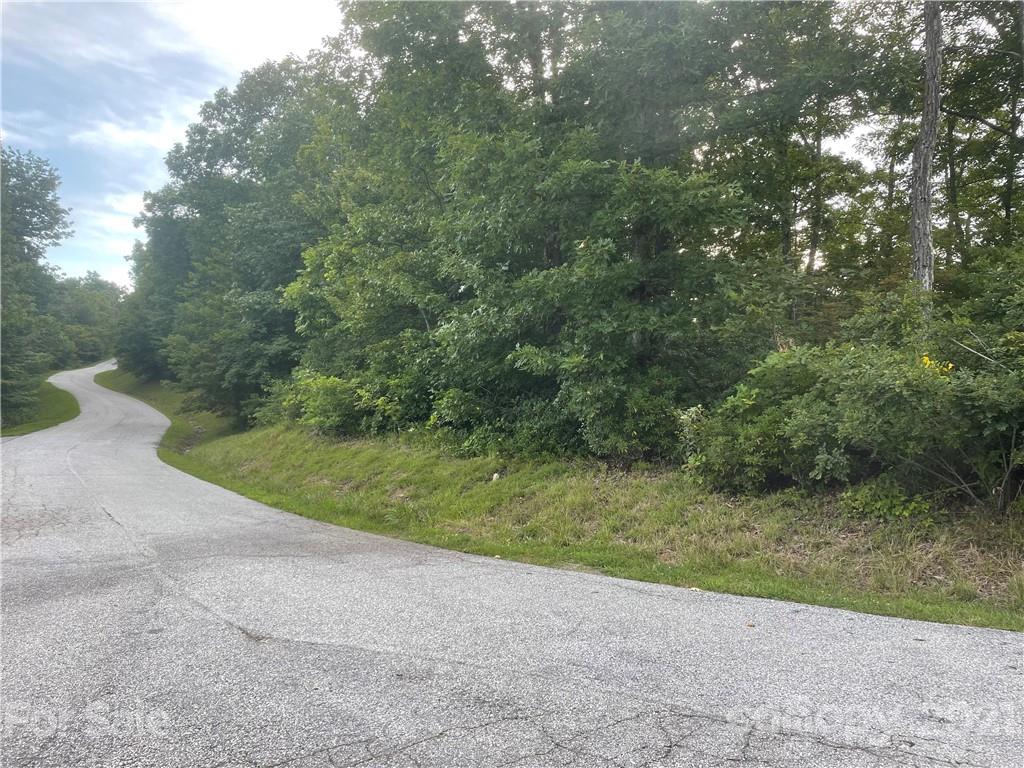 99999 Cliffledge Trail Black Mountain NC 28711