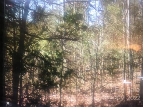 Acreage Mount Gallant Road Rock Hill SC 29732