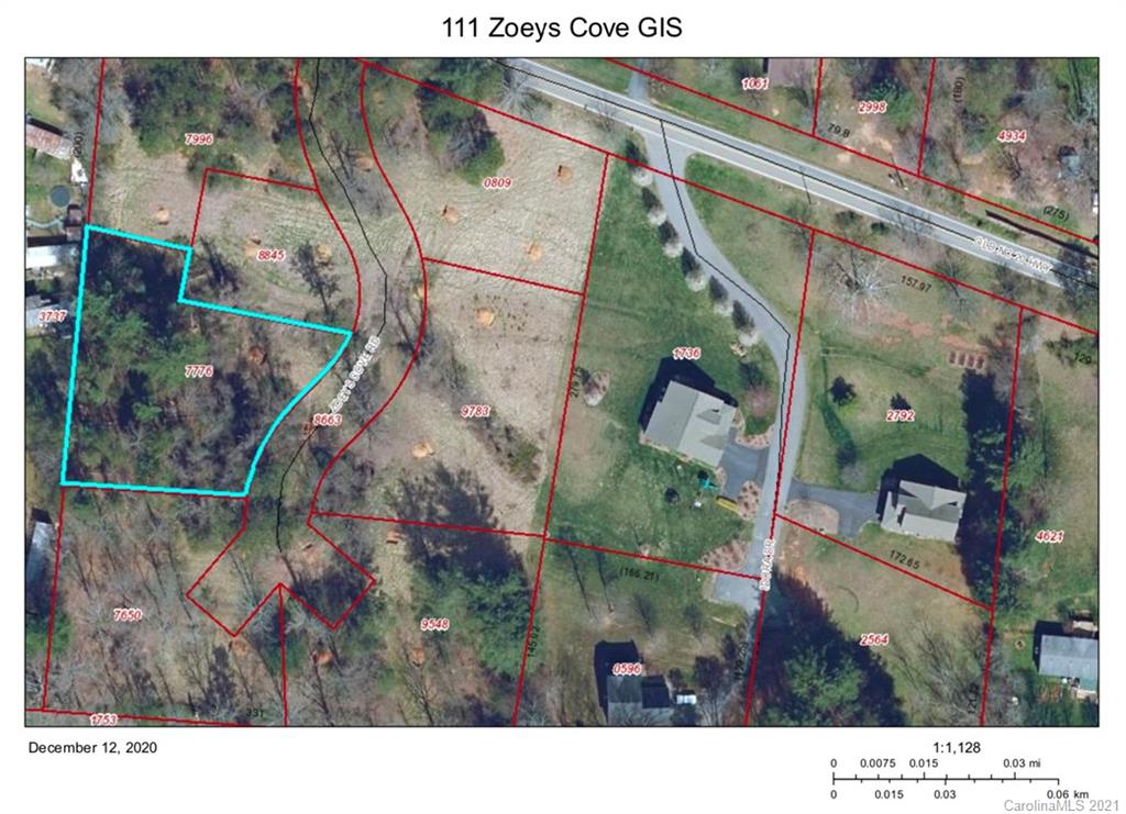 111 Zoeys Cove Road Alexander NC 28701