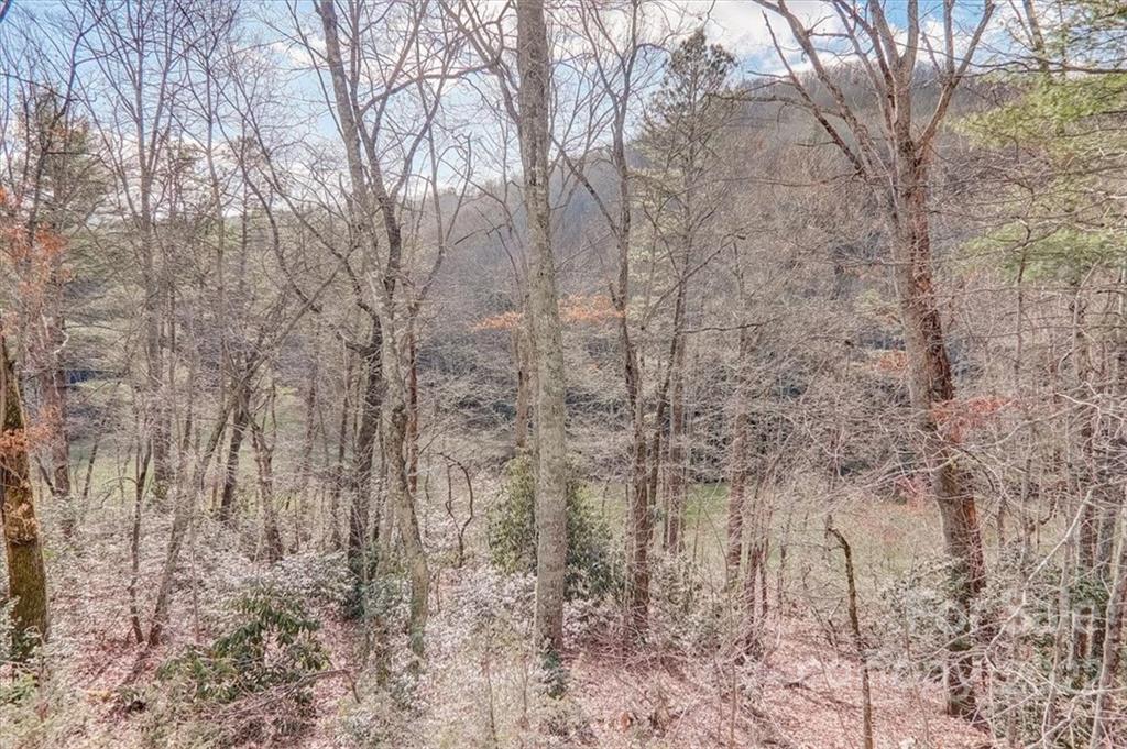 109 Richard Lane Black Mountain NC 28711