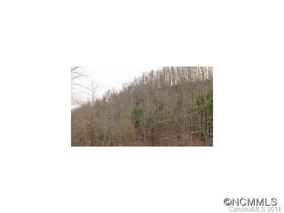 6781 Big Laurel Road Marshall NC 28753