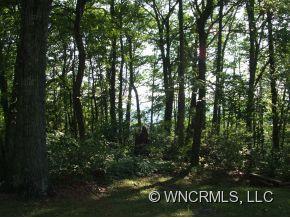 50 Raccoon Ridge Fairview NC 28730
