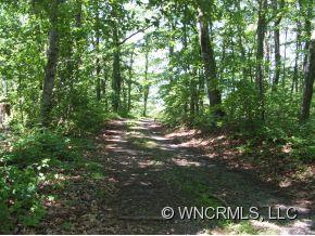 50 Raccoon Ridge Fairview NC 28730
