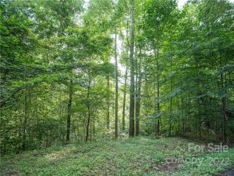 00 Ironwood Lane Maggie Valley NC 28751