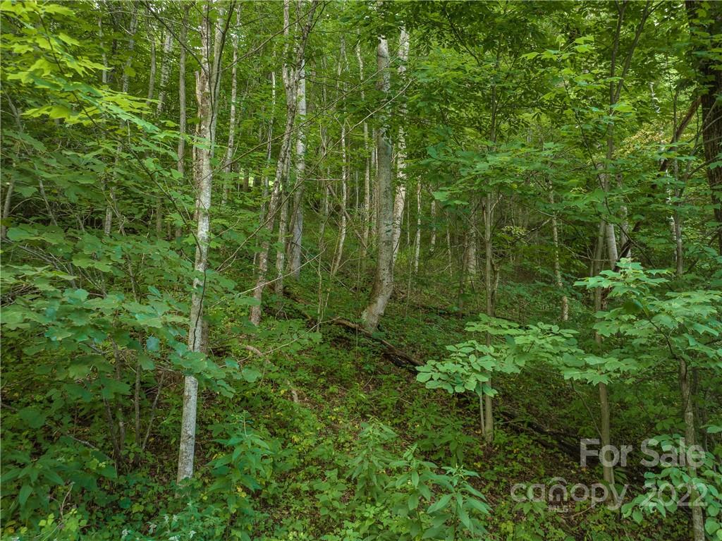 00 Ironwood Lane Maggie Valley NC 28751