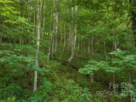 00 Ironwood Lane Maggie Valley NC 28751