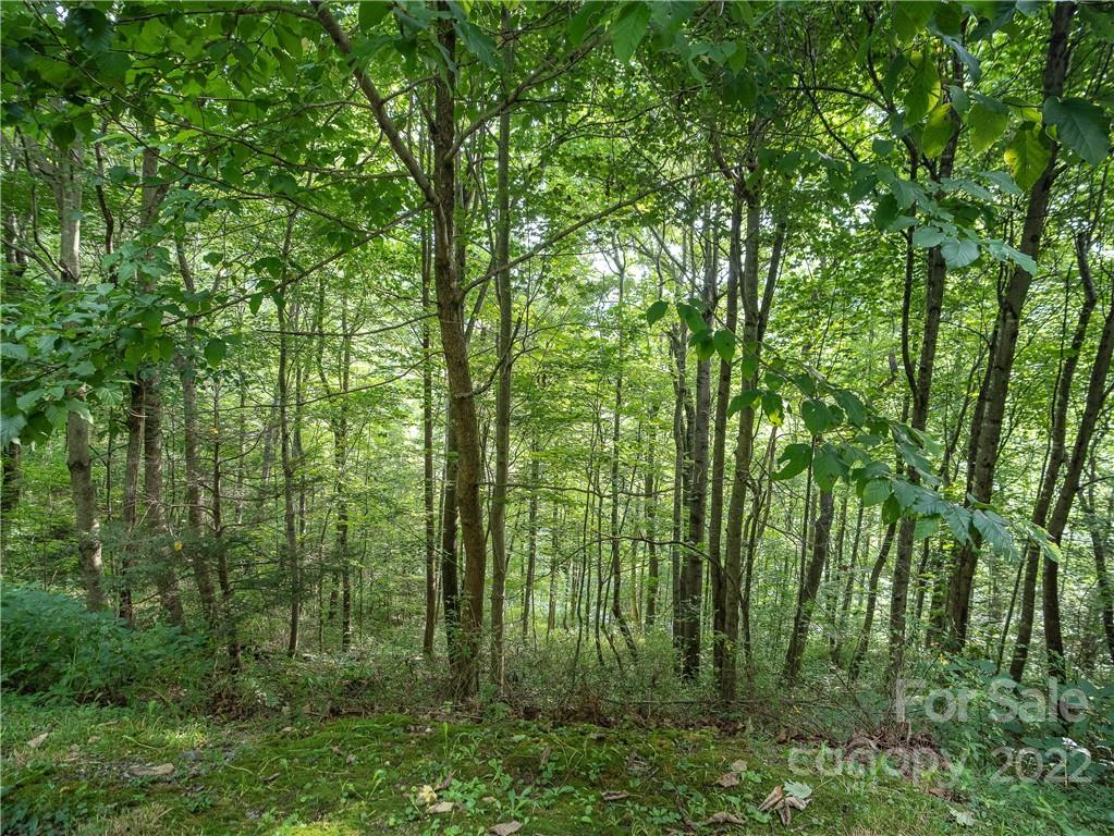 00 Ironwood Lane Maggie Valley NC 28751