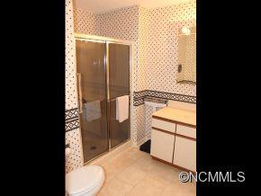 3 Bramble Court Arden NC 28704