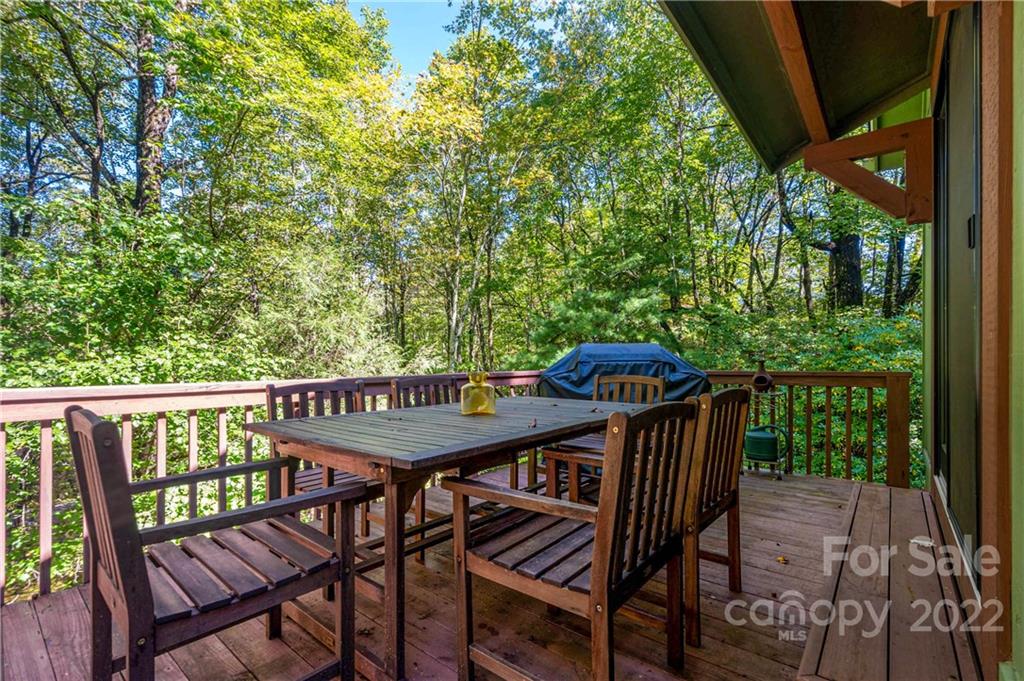 457 Soquili Drive Brevard NC 28712
