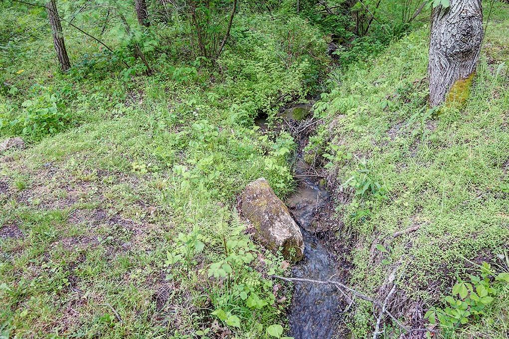31 Wilderness Drive Weaverville NC 28787