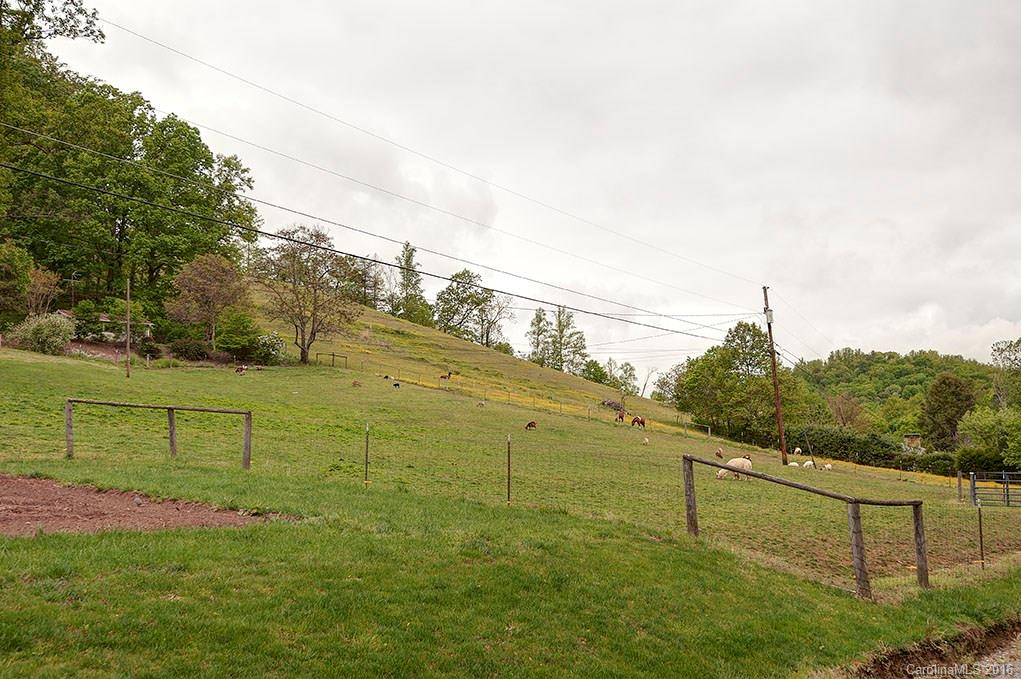 31 Wilderness Drive Weaverville NC 28787