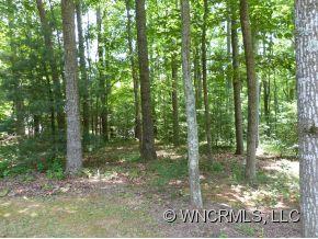 99 Holly Hill Drive Candler NC 28715