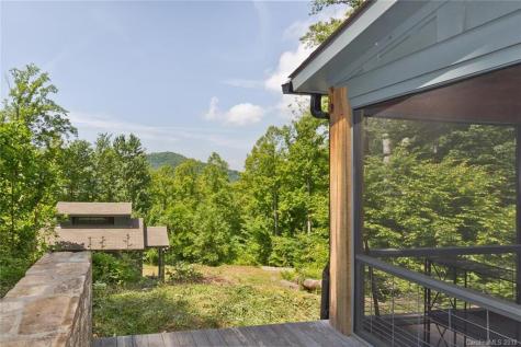 55 David Biddle Trail Weaverville NC 28787