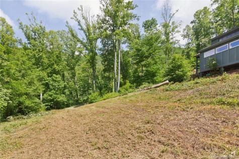55 David Biddle Trail Weaverville NC 28787
