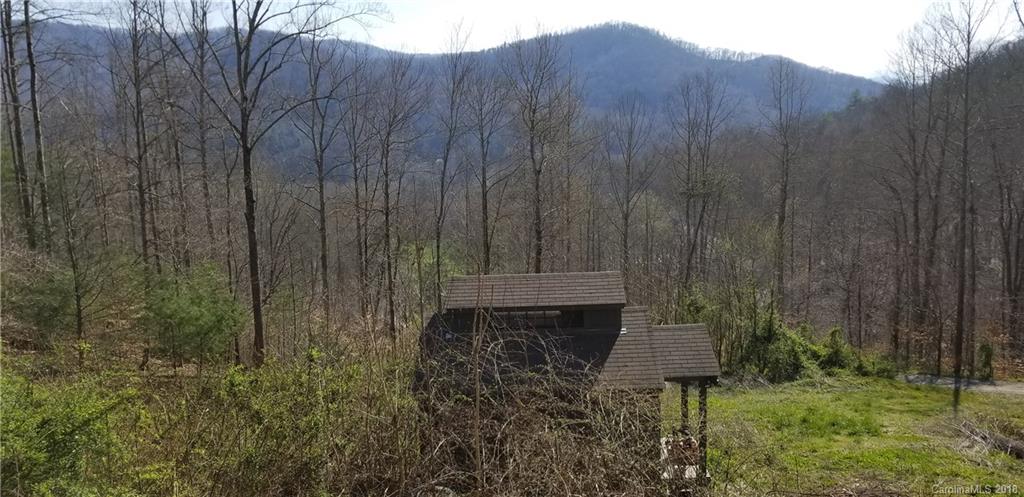 55 David Biddle Trail Weaverville NC 28787