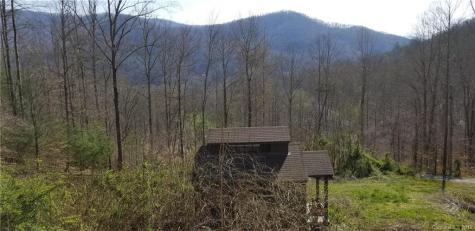 55 David Biddle Trail Weaverville NC 28787