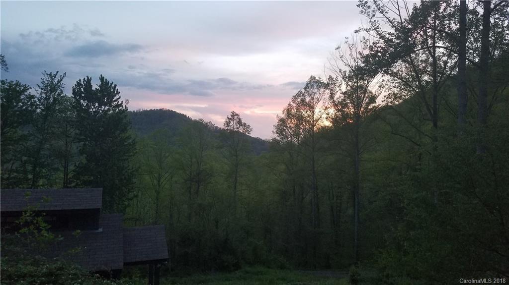 55 David Biddle Trail Weaverville NC 28787