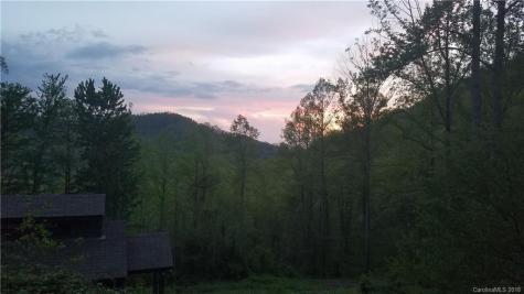 55 David Biddle Trail Weaverville NC 28787