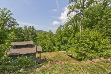 55 David Biddle Trail Weaverville NC 28787