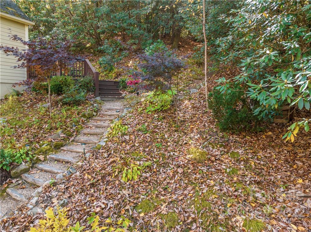 24 Rose Hill Road Asheville NC 28803
