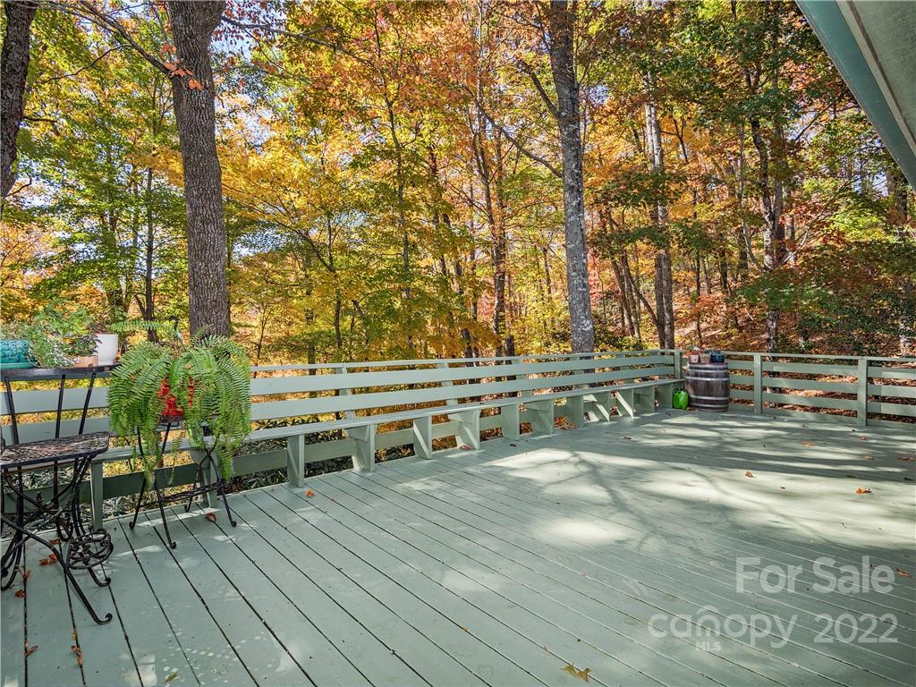 100 Old Wagon Trail Fairview NC 28730