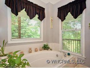 248 Thunder Hill Lane Mills River NC 28759