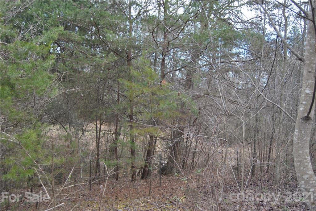 4123 Wilfong Road Lincolnton NC 28092