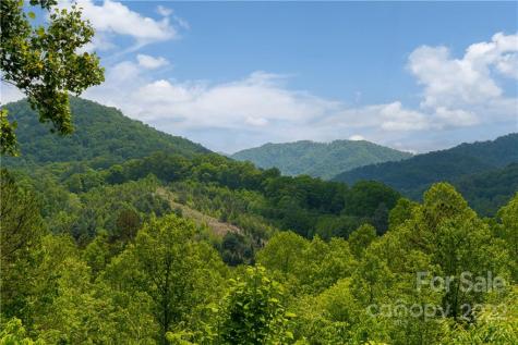 2391 Paint Fork Road Mars Hill NC 28754