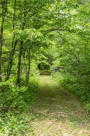2391 Paint Fork Road Mars Hill NC 28754