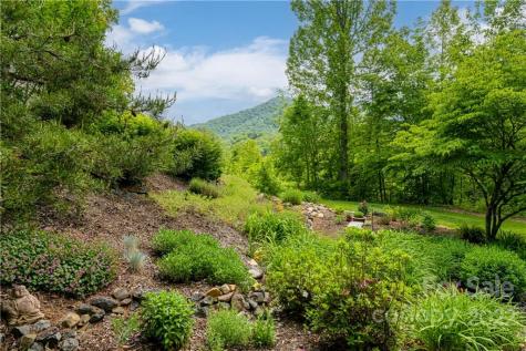 2391 Paint Fork Road Mars Hill NC 28754