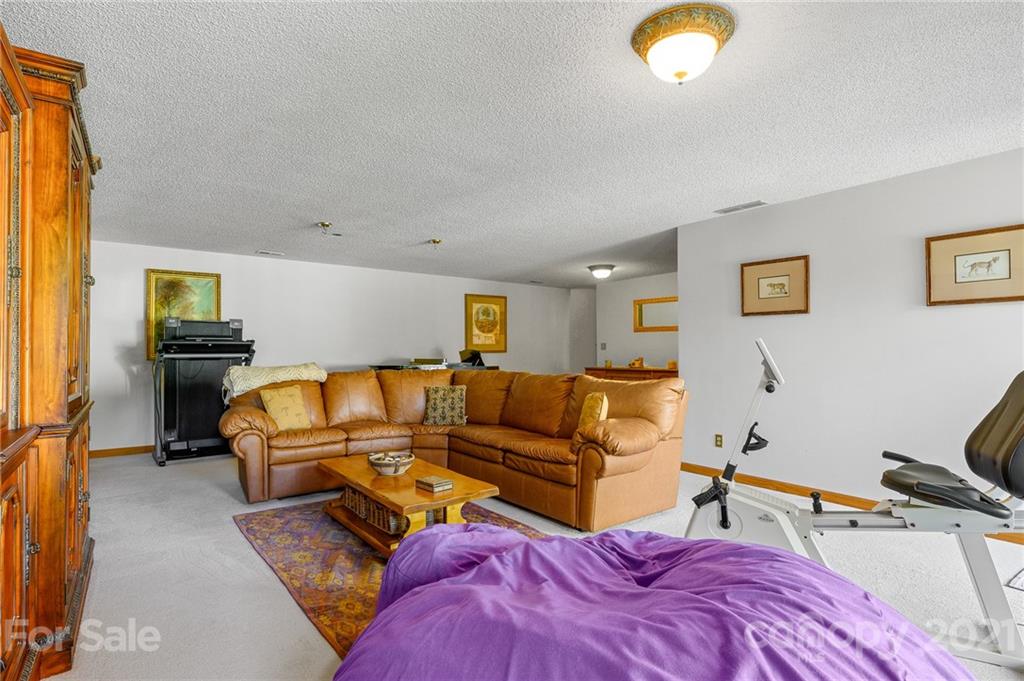 677 Case Cove Road Candler NC 28715