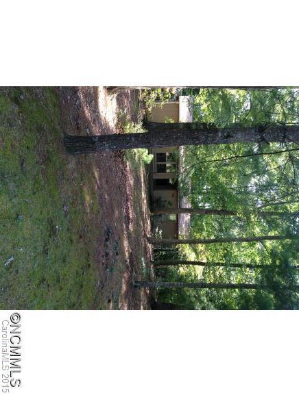 18 Clement Drive Asheville NC 28805