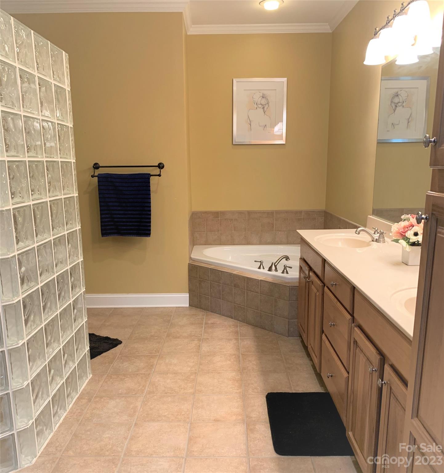10104 Dominion Village Drive Charlotte NC 28269